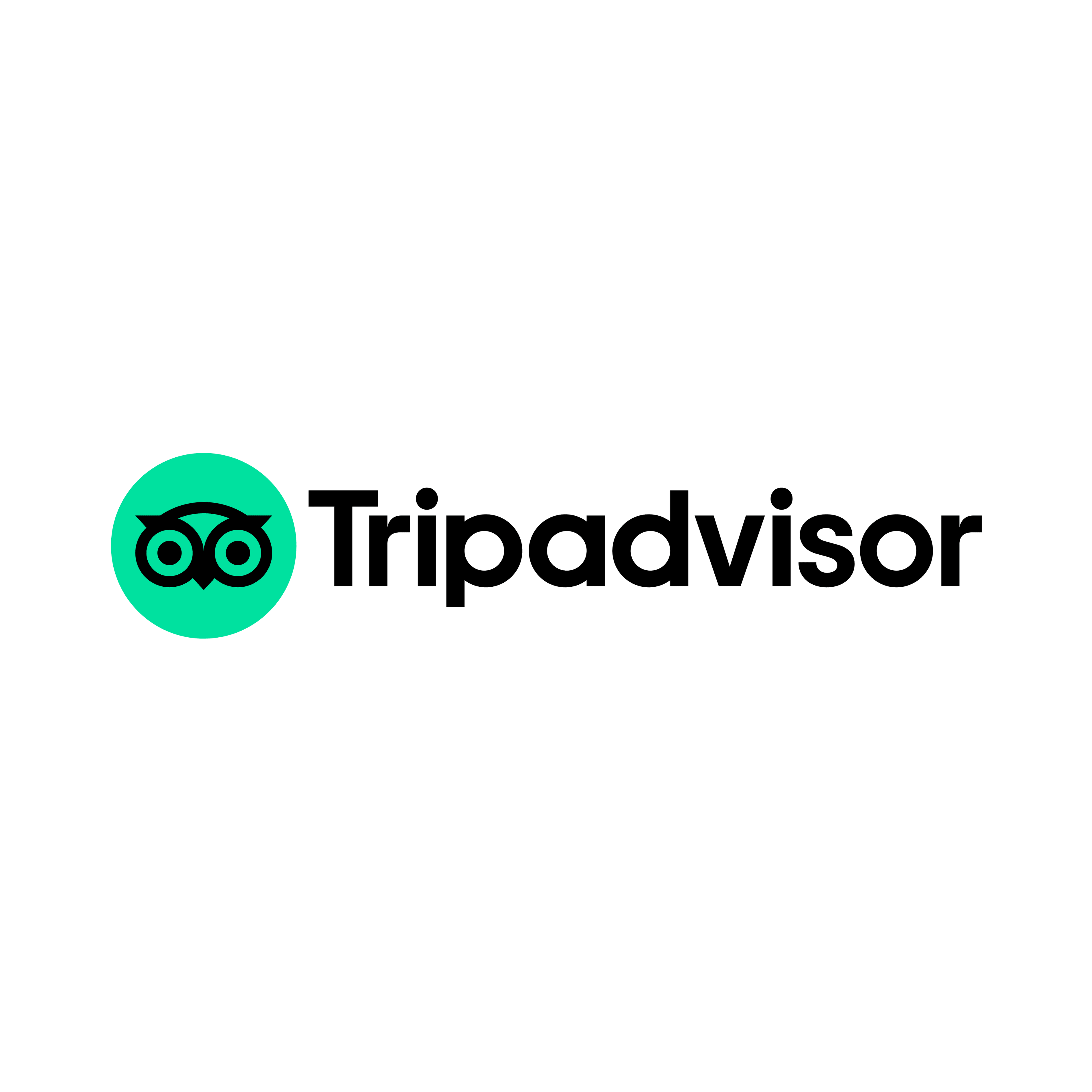 Adam, TripAdvisor